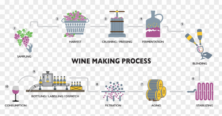 Production Process Winemaking Sula Vineyards Indian Wine Red PNG