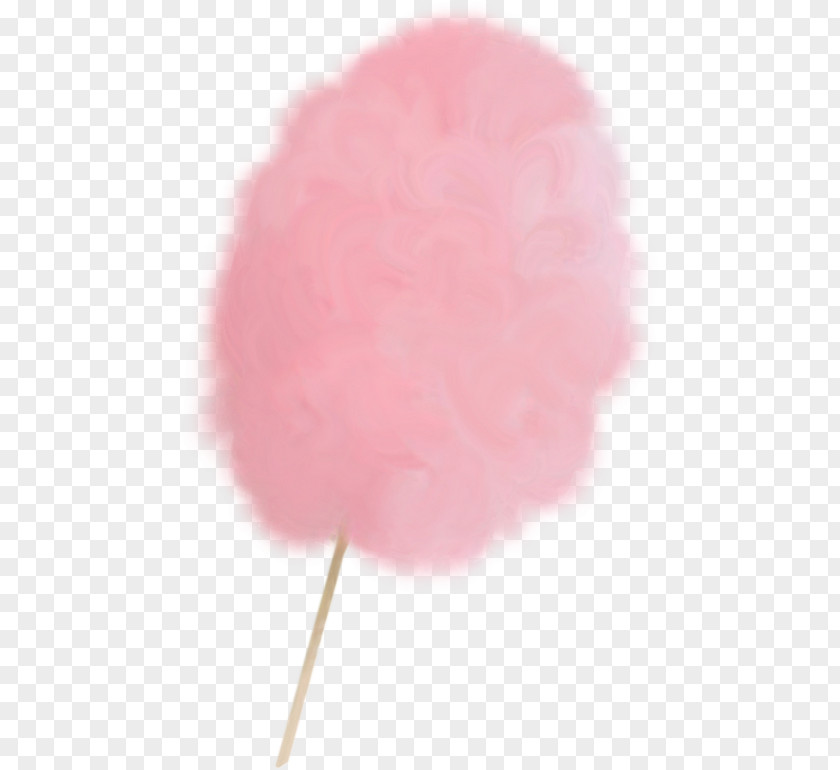 Candy Sweet Cotton Lollipop Friandise Confectionery PNG