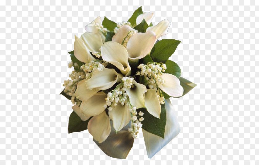 Flower Floral Design Bouquet Cut Flowers Bride PNG
