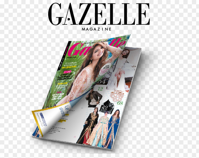 Gazelle Fashion Make-up Highlighter Dukan Diet Beauty PNG