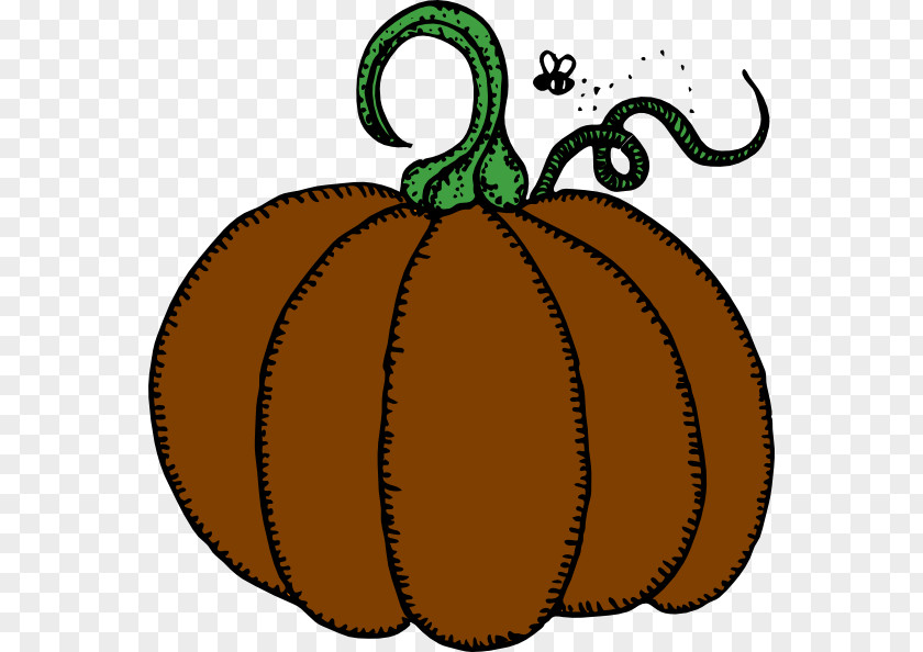 Pumpkin Halloween Pumpkins Clip Art Vector Graphics Jack-o'-lantern PNG