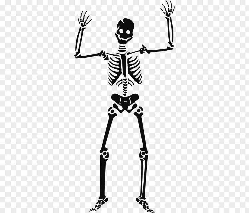 Urlaub Clip Art Skull Skeleton Openclipart PNG
