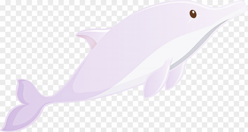 Cetacea Dolphin Pink Fin Fish PNG