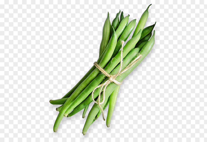 Christian Worship Green Bean Vegetarian Cuisine Lima Common PNG