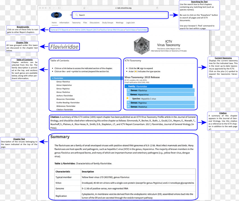 Computer Web Page Program Organization Screenshot PNG