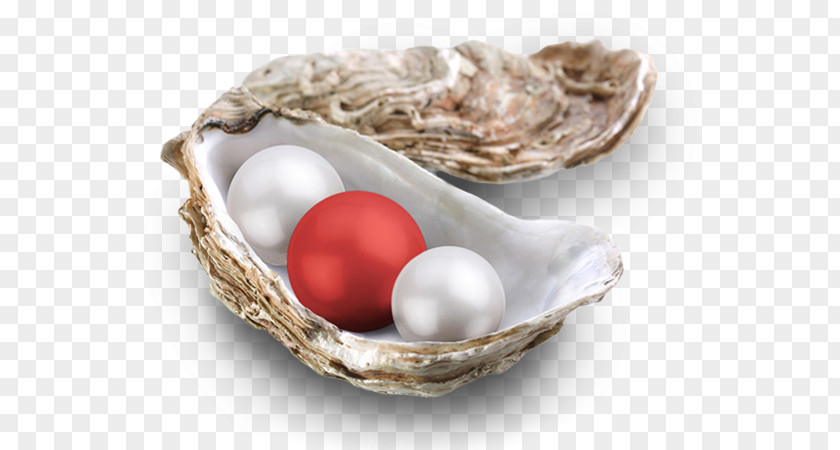 Oyster Pearl Clam Mask Egg PNG