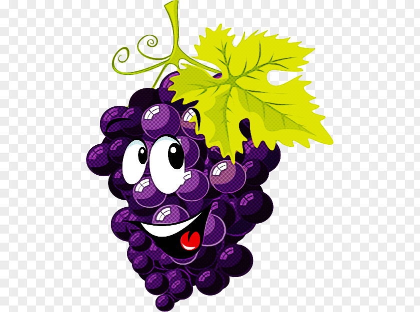 Plant Violet Grape Grapevine Family Leaf Vitis Purple PNG