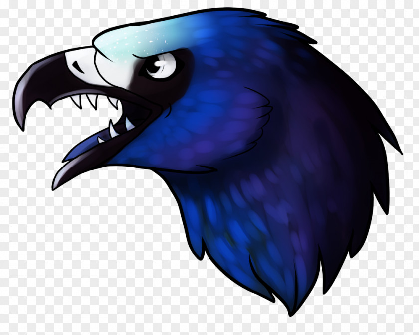 Bird Of Prey Cobalt Blue Beak Feather PNG