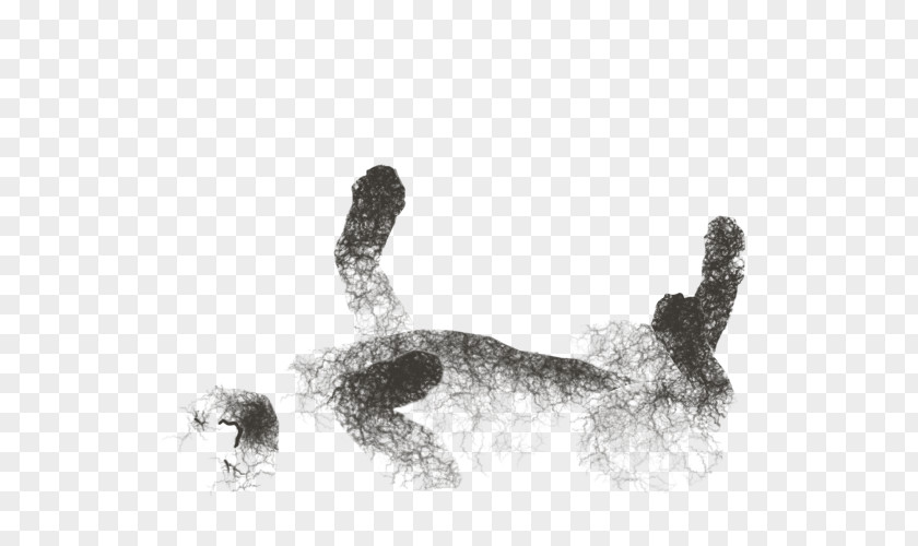 Cobweb /m/02csf Drawing H&M Black Animal PNG