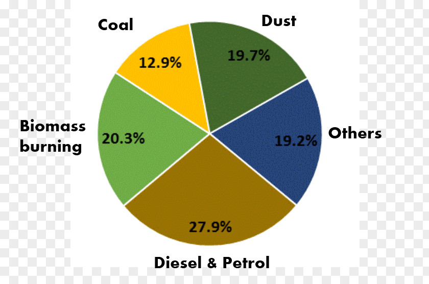Air Pollution Diagram Quality In Delhi India Pie Chart PNG