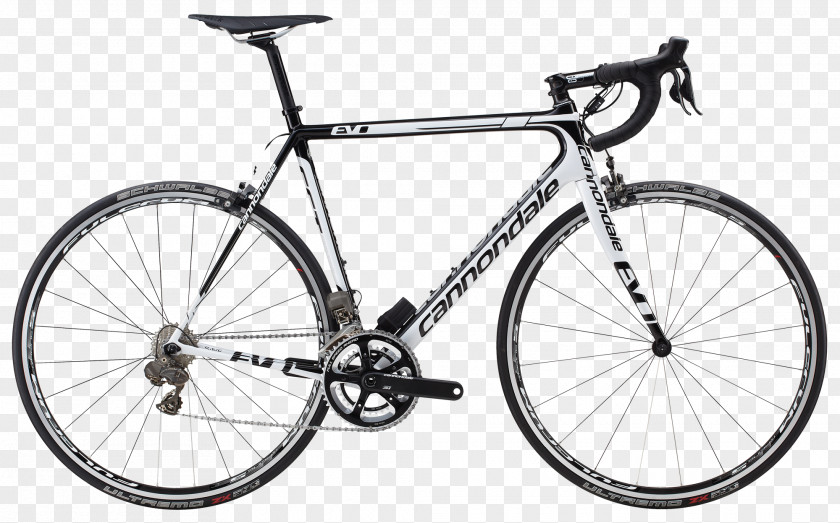 Bicycle Trek Corporation Cycling Pinarello Cannondale PNG
