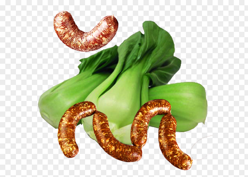 Chinese Cabbage Sausage In Kind Vegetarian Cuisine Vegetable PNG
