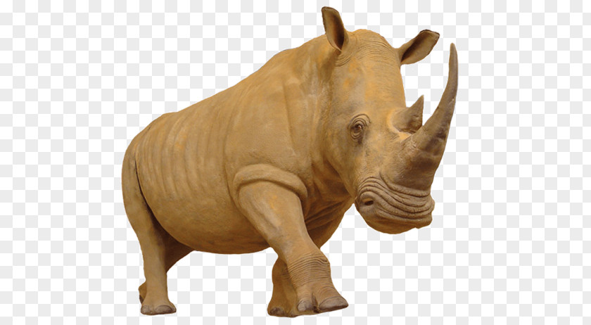 Elephant Rhinoceros Hippopotamus Horn PNG