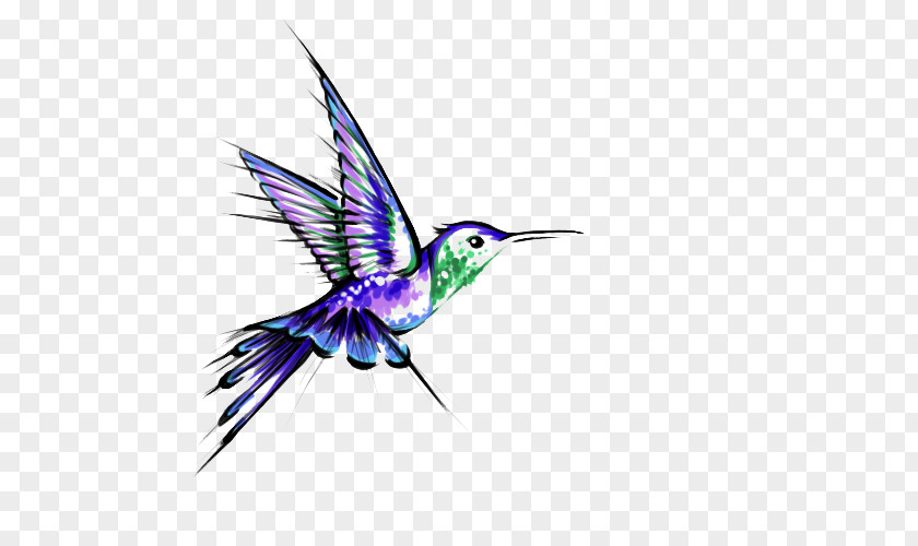 Hummingbird Tattoos Transparent Tattoo Black-and-gray PNG