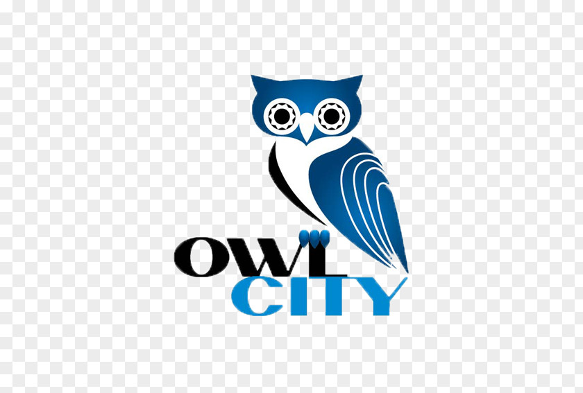 Owl Logo Beak Brand Font PNG