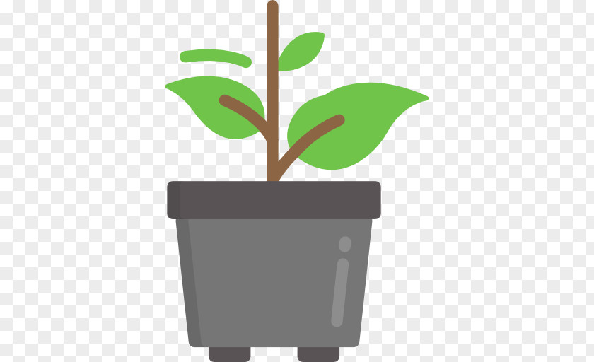 Plant Pattern PNG