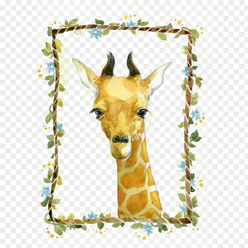 Silent Giraffe Illustrator Illustration PNG