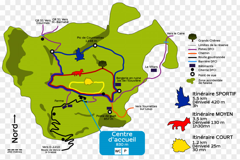 Tree Cartoon Ecoregion Map PNG