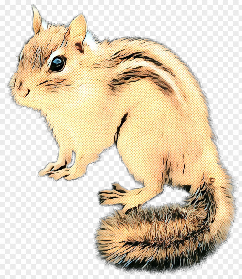 Fawn Tail Squirrel Cartoon PNG