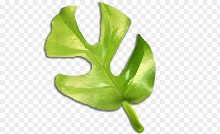 Military Tag Leaf Plant Stem PNG