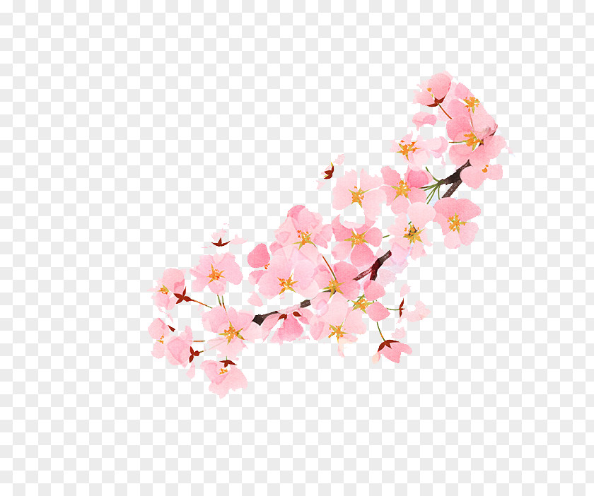 Pink Cherry Blossoms In Full Bloom Lander Game U3042u3084u304bu3057u3080u3059u3073 Falling Love PNG