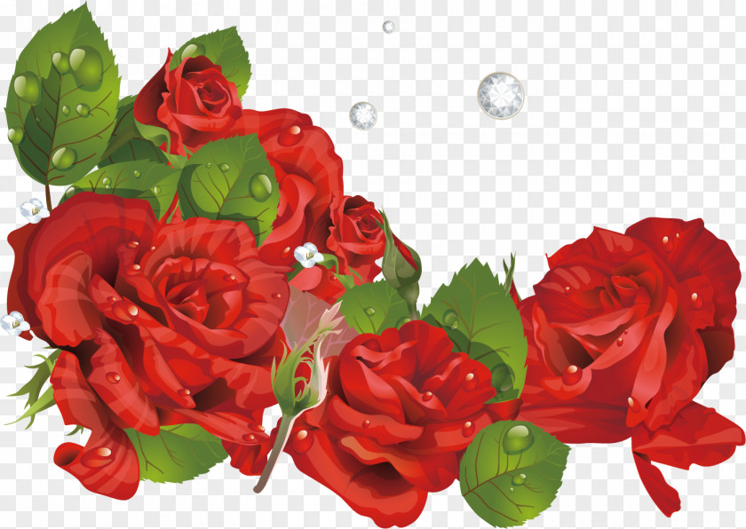 Rose Red Garden Roses Beach Valentines Day Clip Art PNG