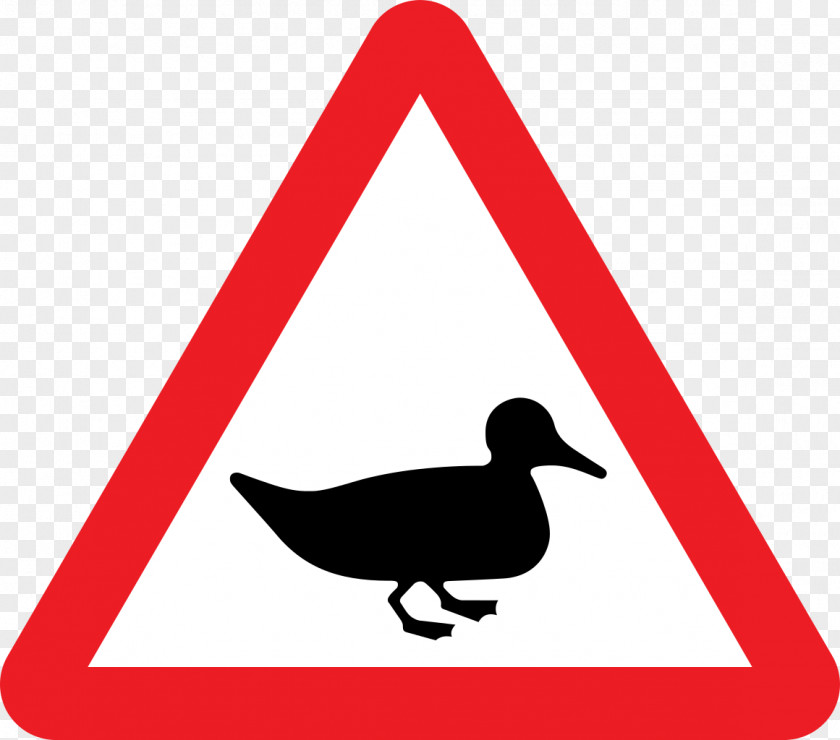 Traffic Signs Sign Road In The United Kingdom Warning Duck PNG