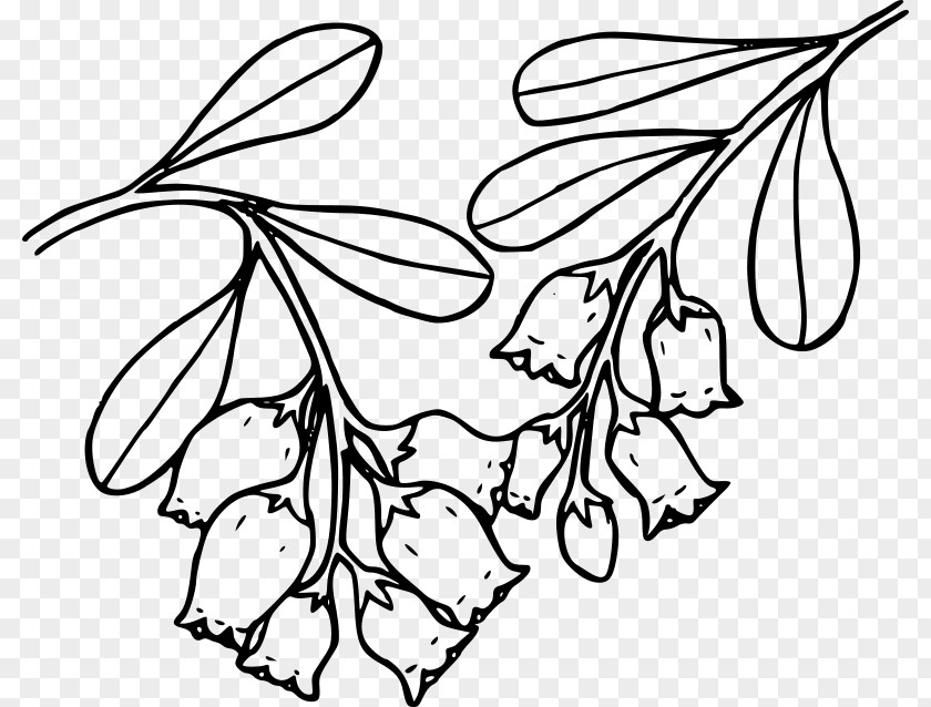 Urban Clipart Bearberry Coloring Book Clip Art PNG