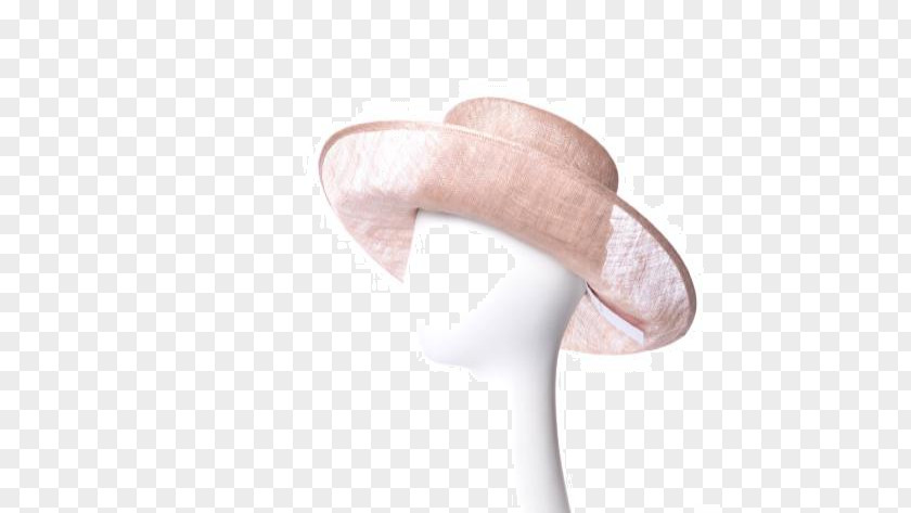 Kentucky Derby-hat Hat PNG