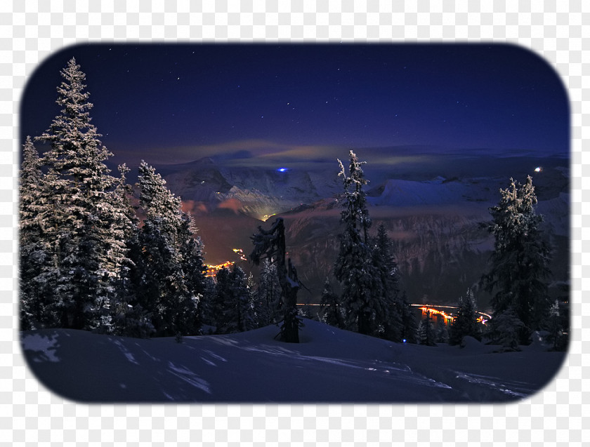 Light Desktop Wallpaper Tree HVGA Snow PNG