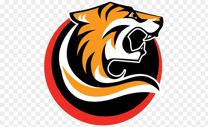 Roar Wildlife Basketball Logo PNG