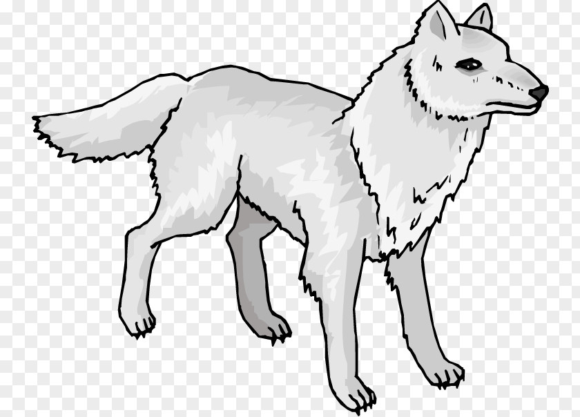 Snow Seal Cliparts Arctic Wolf Mexican Fox Clip Art PNG