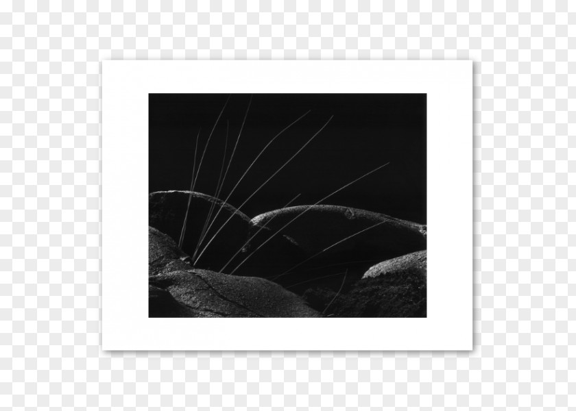 Volcanic Rock Picture Frames White Black M PNG