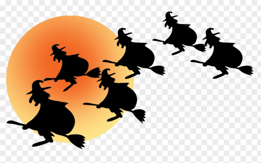 Witch Halloween Photography Clip Art PNG