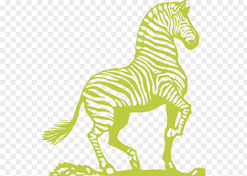 Zebra Horse Clip Art PNG