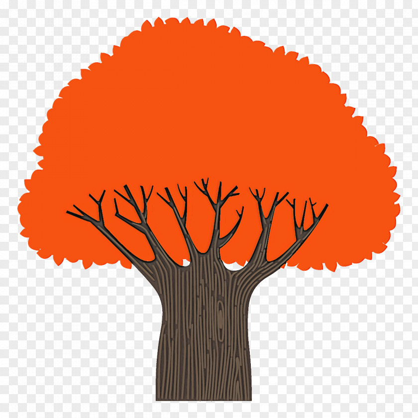 Autumn Tree Broadleaf PNG