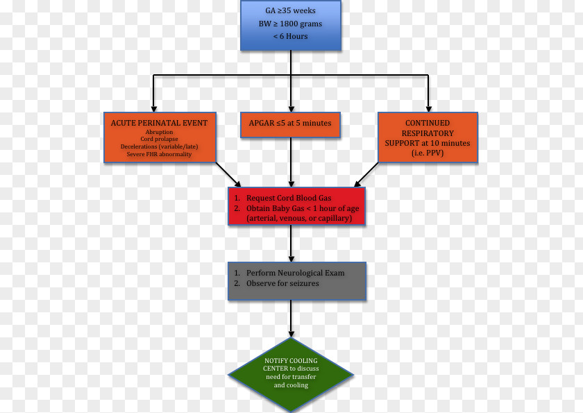 Neonatal Brand Line Organization Angle PNG