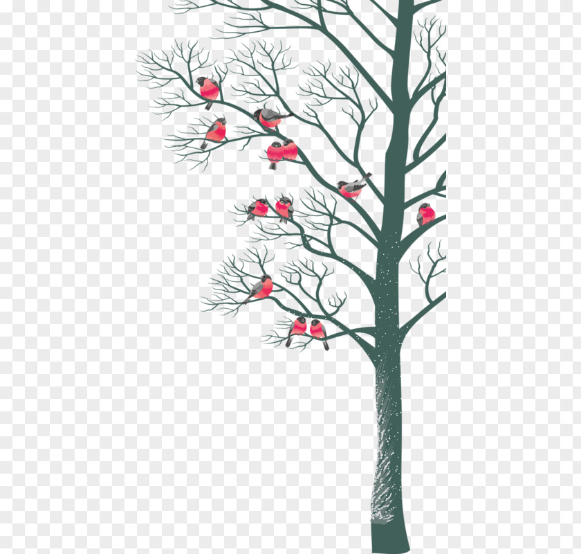 Birds And Trees Bird Tree Branch Christmas PNG