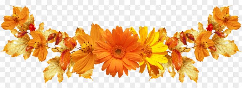 Design Common Sunflower Floral Cut Flowers Desktop Wallpaper PNG