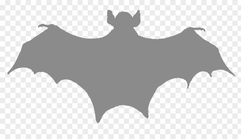 Bat Silhouette Clip Art PNG