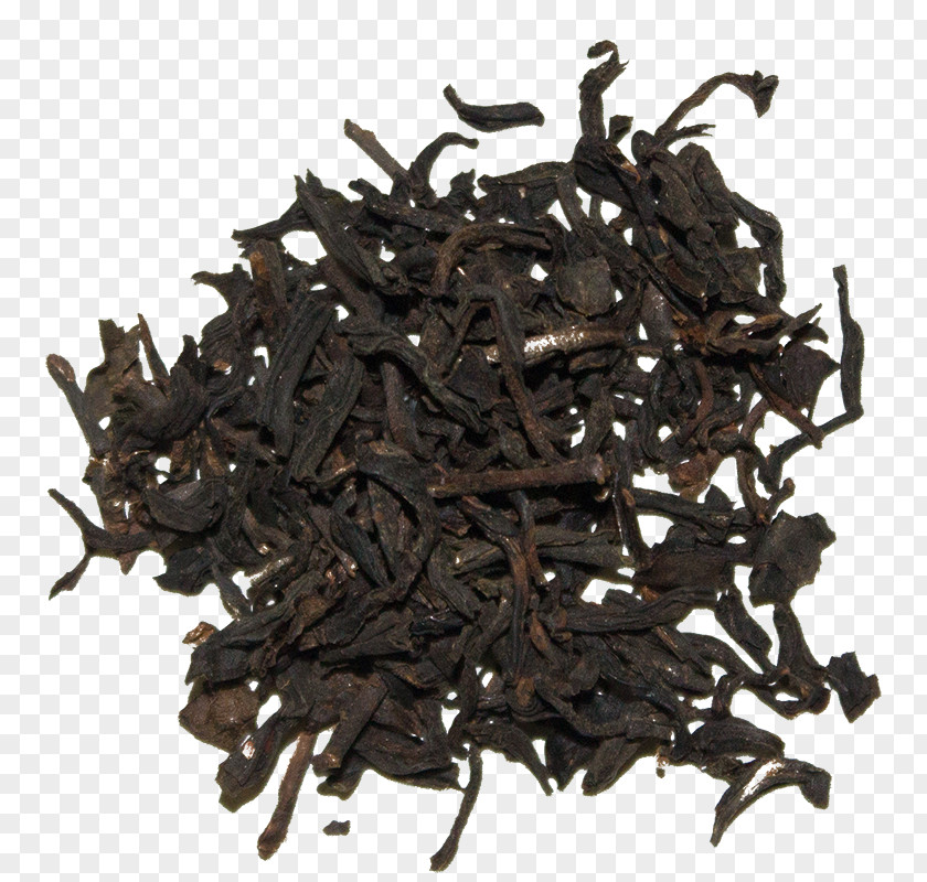Chinese Savior Crepe Tea Production In Sri Lanka Nilgiri Lapsang Souchong White PNG