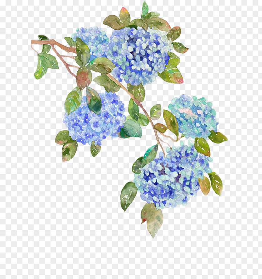 高清iphone French Hydrangea Flower Blue Clip Art PNG