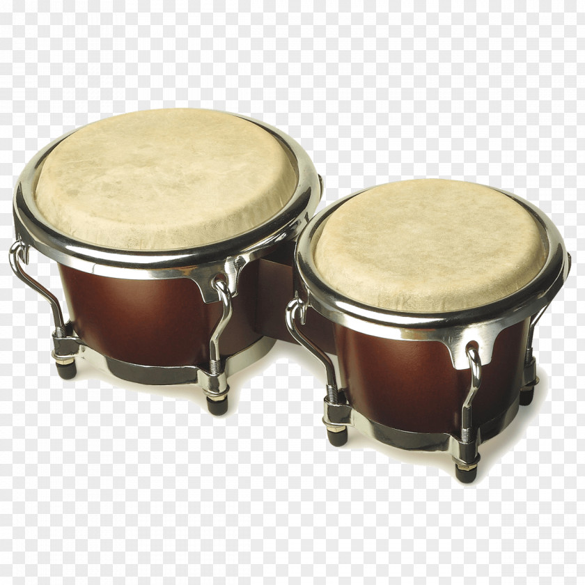 Musical Instruments Bongo Drum Conga Percussion PNG