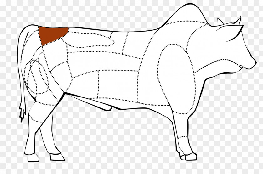 Picanha Cattle Drawing /m/02csf Line Art Clip PNG