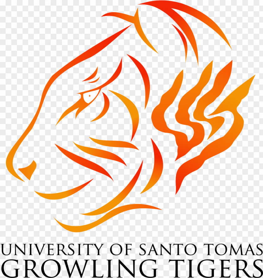 University Of Santo Tomas UST Growling Tigers Men's Basketball Alfredo M. Velayo College Accountancy Drawing PNG