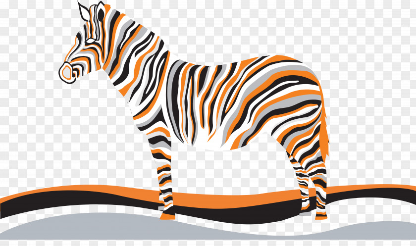 Zebra Black And White Drawing PNG