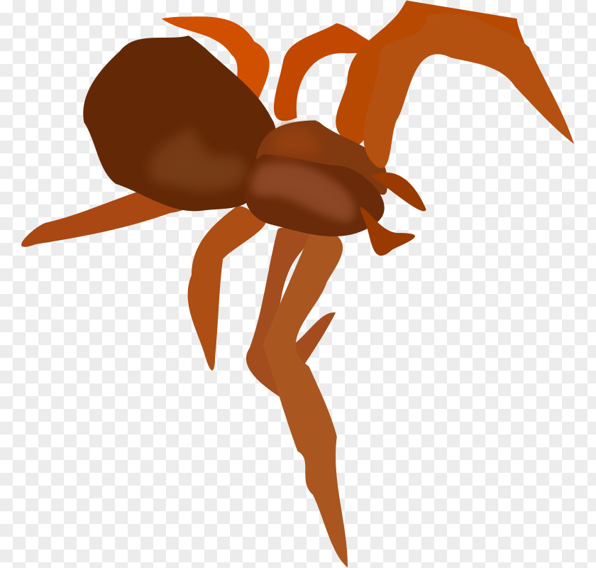 Brown Cartoon Spider Clip Art PNG