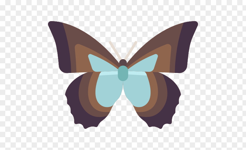 Butterfly Icon Brush-footed Butterflies Moth PNG