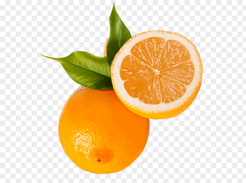 Grapefruit Clementine Mandarin Orange Tangerine Tangelo Rangpur PNG