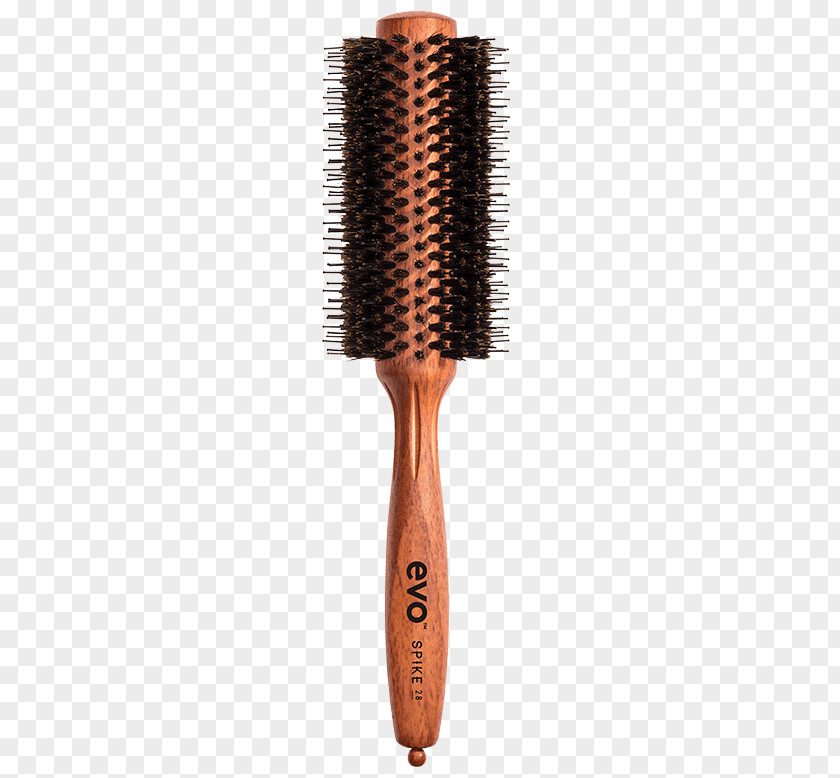 Spike Hair Hairbrush Comb Bristle Hairstyle PNG